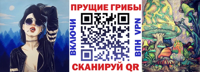 Псилоцибиновые грибы прущие грибы  darknet какой сайт  Верхотурье 